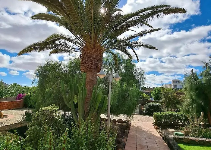 Ferienhaus Volcanes, Big House, Gardens Heated Pool La Oliva